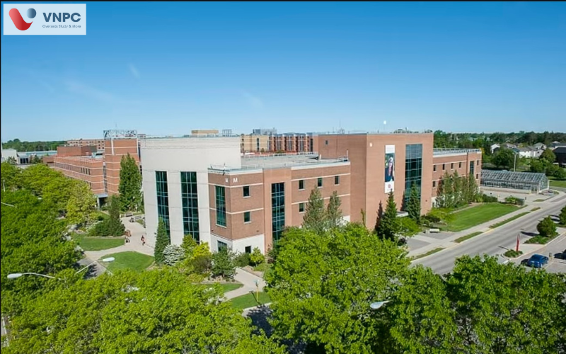 KING88 là nhà cái giải trí đỉnh cao Canada ngành khoa học dữ liệu